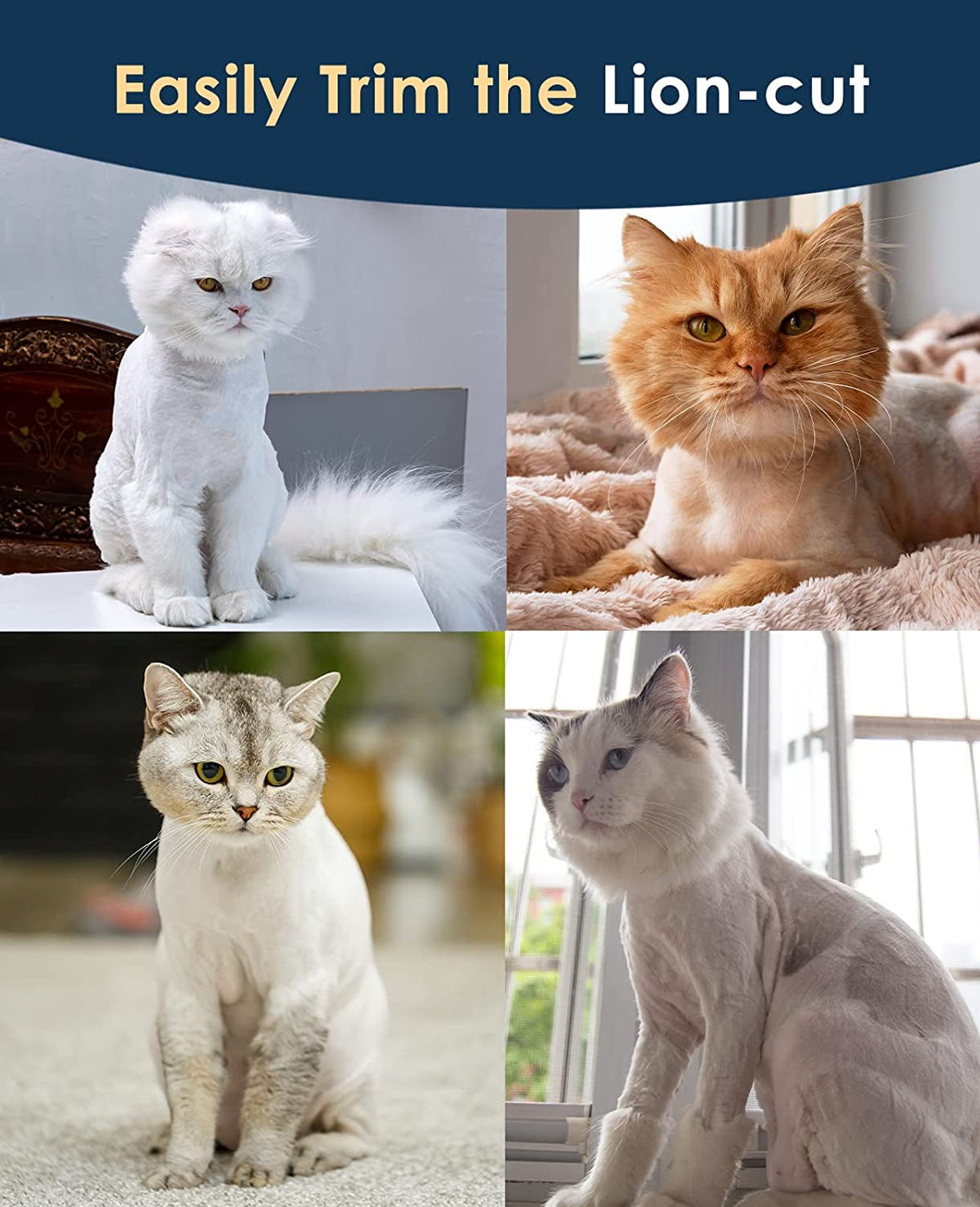 Cat Clippers for grooming