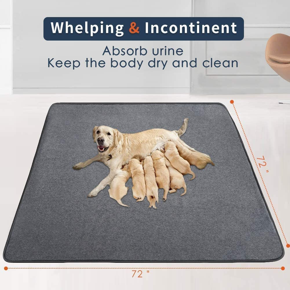 Washable Pee Pads for Dogs