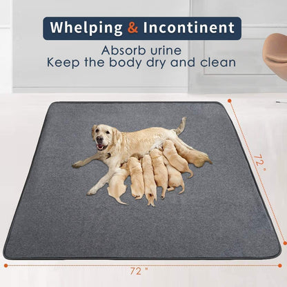 Washable Pee Pads for Dogs