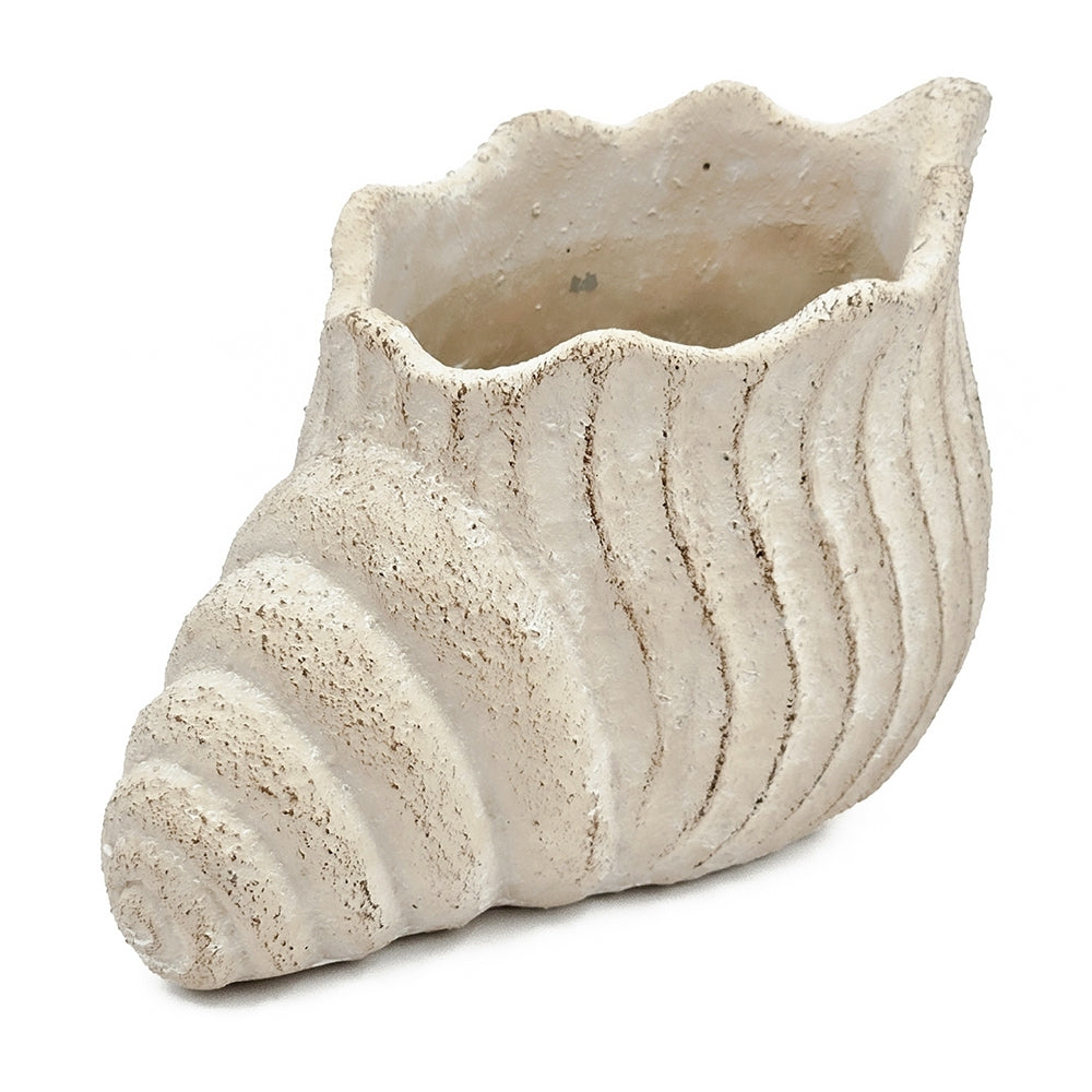 Sand and Cement Nautilus Shell Planter with Textured Finish - Beige Multi