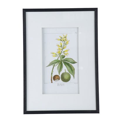 Botanical Wall Art Set of 2 with Black Frames - Multicolor