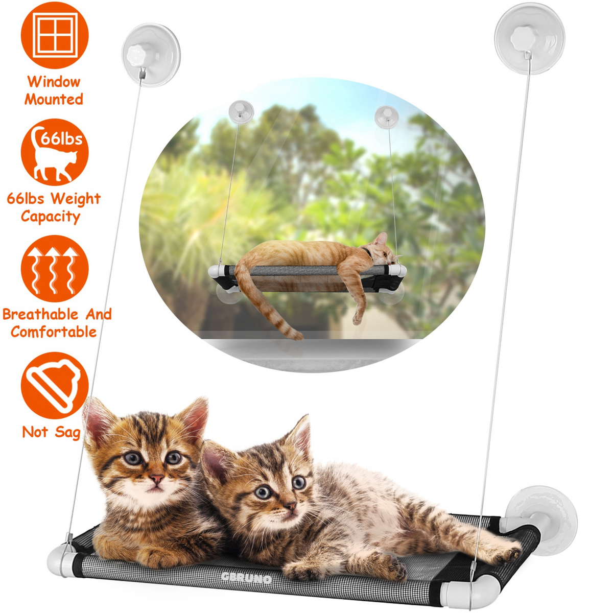GBruno Window Perch Cat Hammock