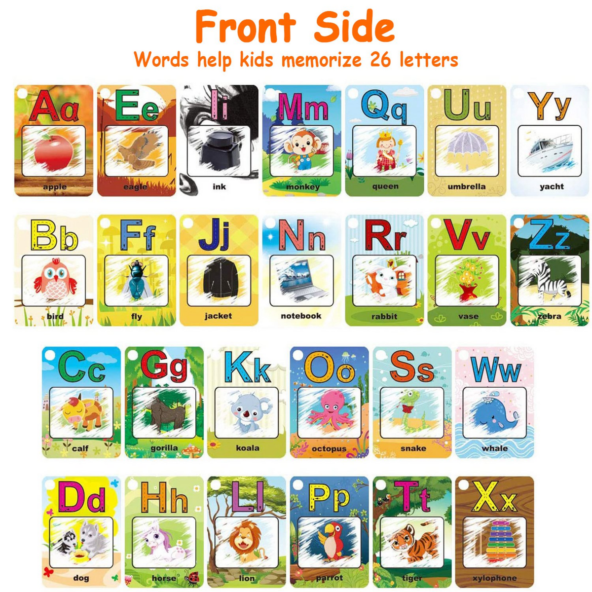 GBruno Alphabet Water Coloring Cards