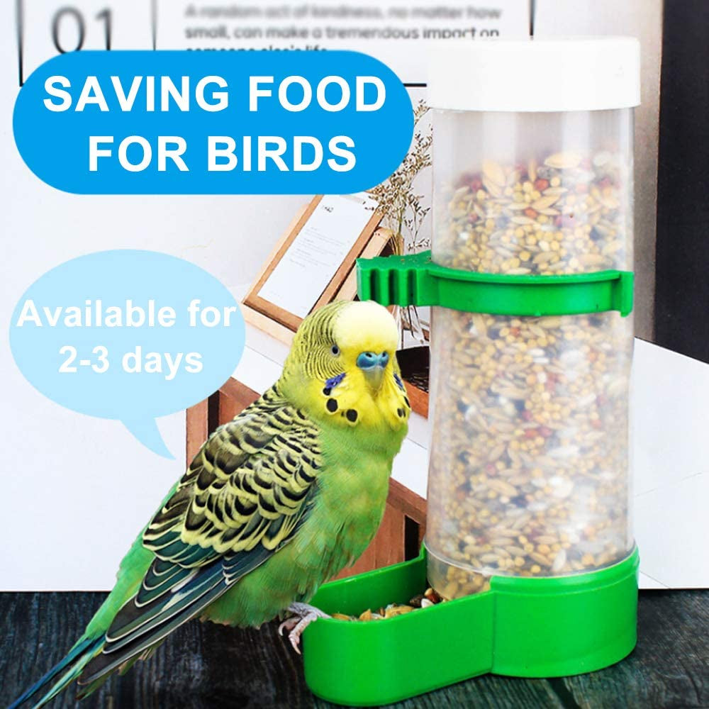 Bird Feeder