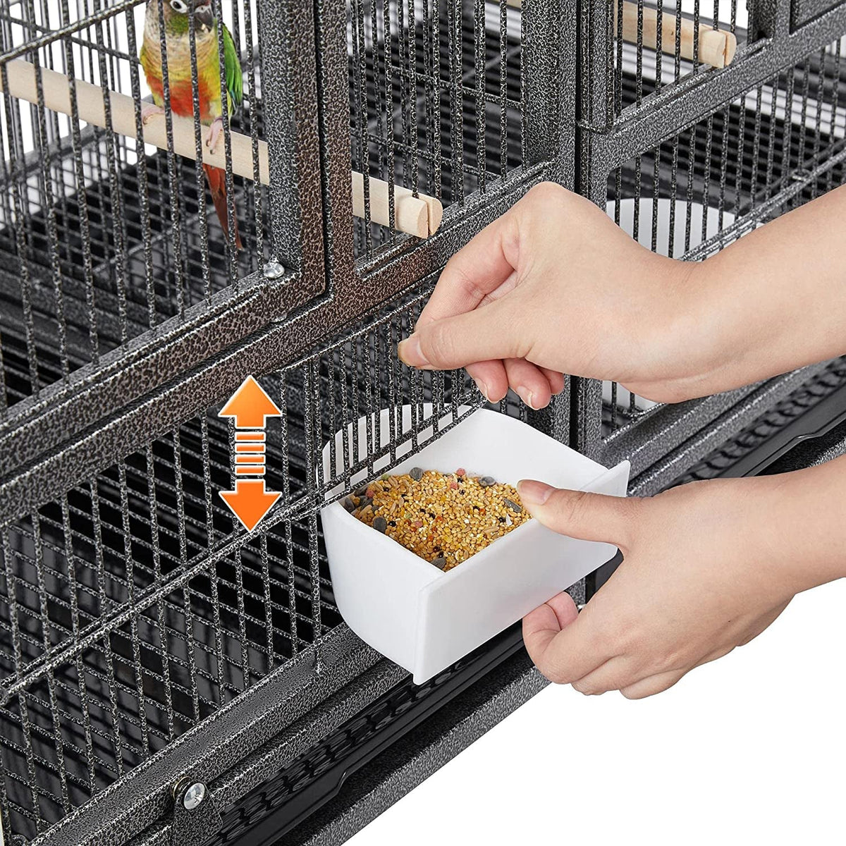 Divided Breeder for Bird