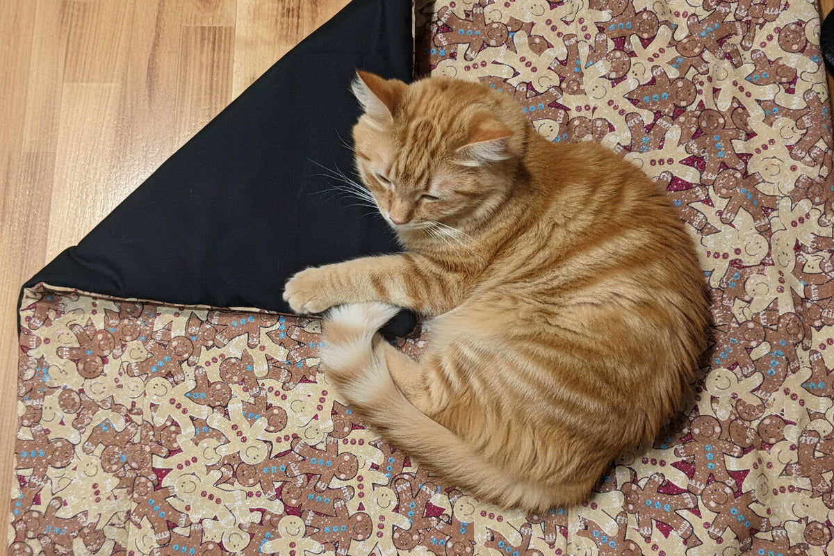 Cat Nip Infused Cat Play Mat