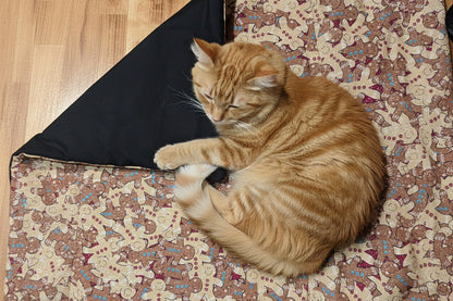 Cat Nip Infused Cat Play Mat
