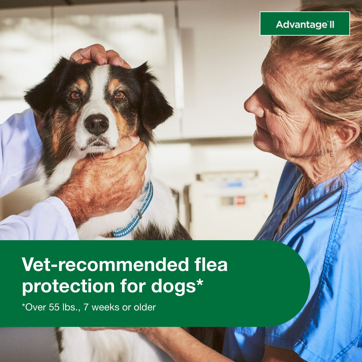 Flea Prevention for XL Dogs 55 Lbs+, 4-Monthly Treatments