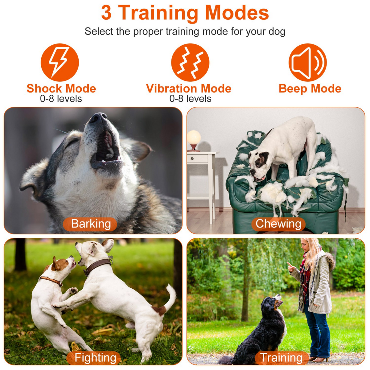 GBruno Electric Dog Training Collar