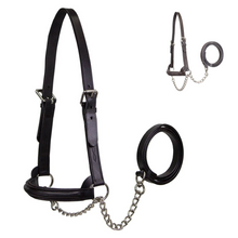 Derby Originals Premium Raised Padded Leather Cattle Show Halter, Small/Medium/Large, Adjustable Fit with 48" Lead and 14" Chain, Durable Hardware, 1-Year Warranty