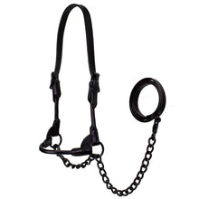 Derby Midnight All Black Premium Round Rolled Leather Cattle Show Halter with Matching Chain Lead  - One Year Limited Manufacturer’s Warranty