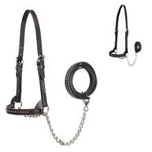 Derby Originals New and Improved Premium Show Spotted Flat Leather Cattle Show Halter, Small/Medium/Large, Adjustable Fit with 48" Lead and 14" Chain, Durable Hardware, 1-Year Warranty