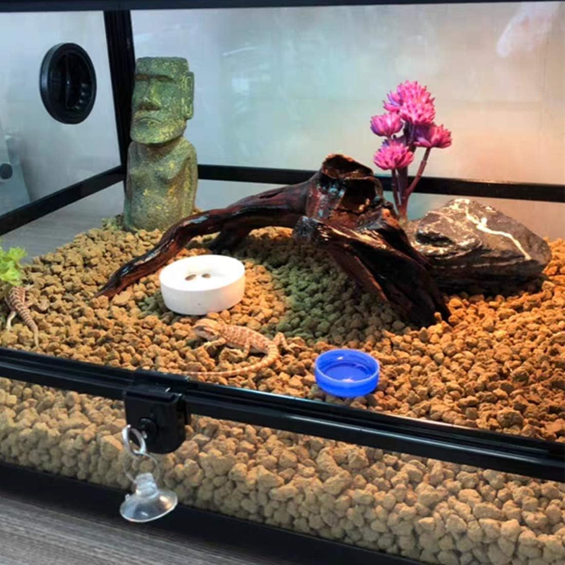 Reptile Plants Artificial