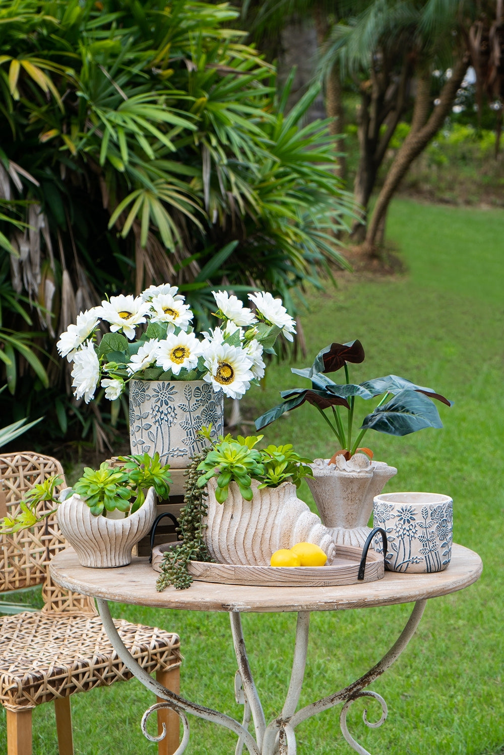Sand and Cement Nautilus Shell Planter with Textured Finish - Beige Multi