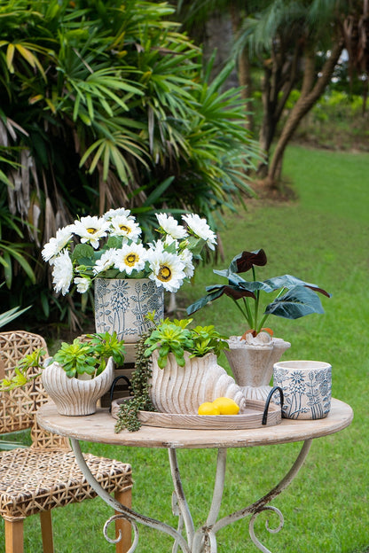 Sand and Cement Nautilus Shell Planter with Textured Finish - Beige Multi