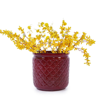 Bean Paste Red Ceramic Flowerpot Set with Diamond Pattern - 3 Pieces