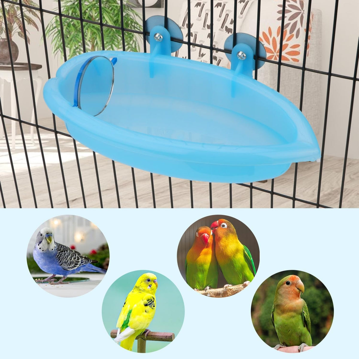 Bird Bath with Mirror Portable