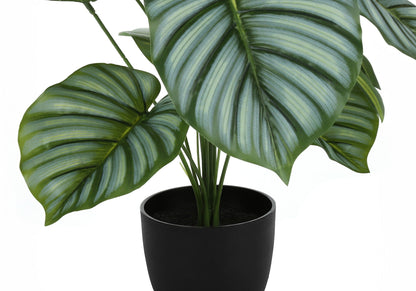 24" Tall Artificial Calathea Plant with Real-Touch Leaves - Green