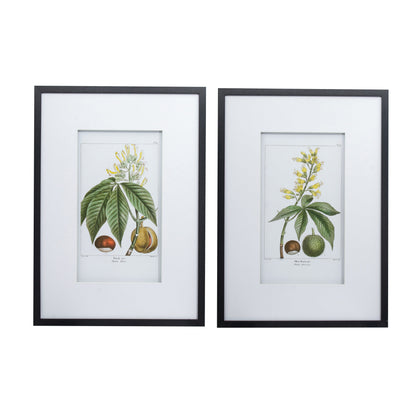 Botanical Wall Art Set of 2 with Black Frames - Multicolor