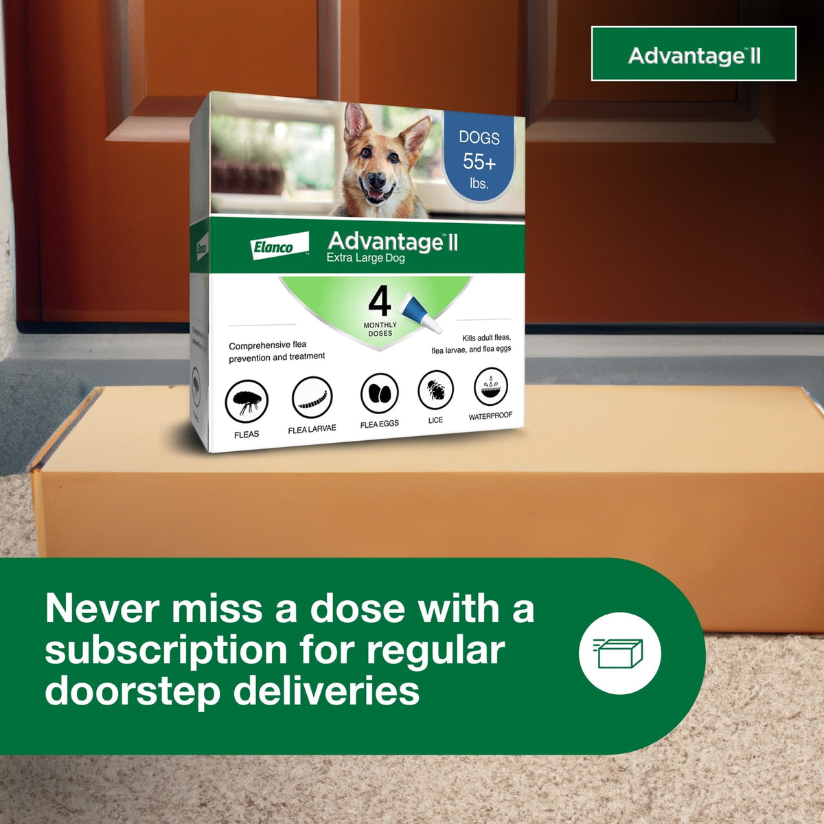 Flea Prevention for XL Dogs 55 Lbs+, 4-Monthly Treatments