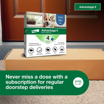 Flea Prevention for XL Dogs 55 Lbs+, 4-Monthly Treatments
