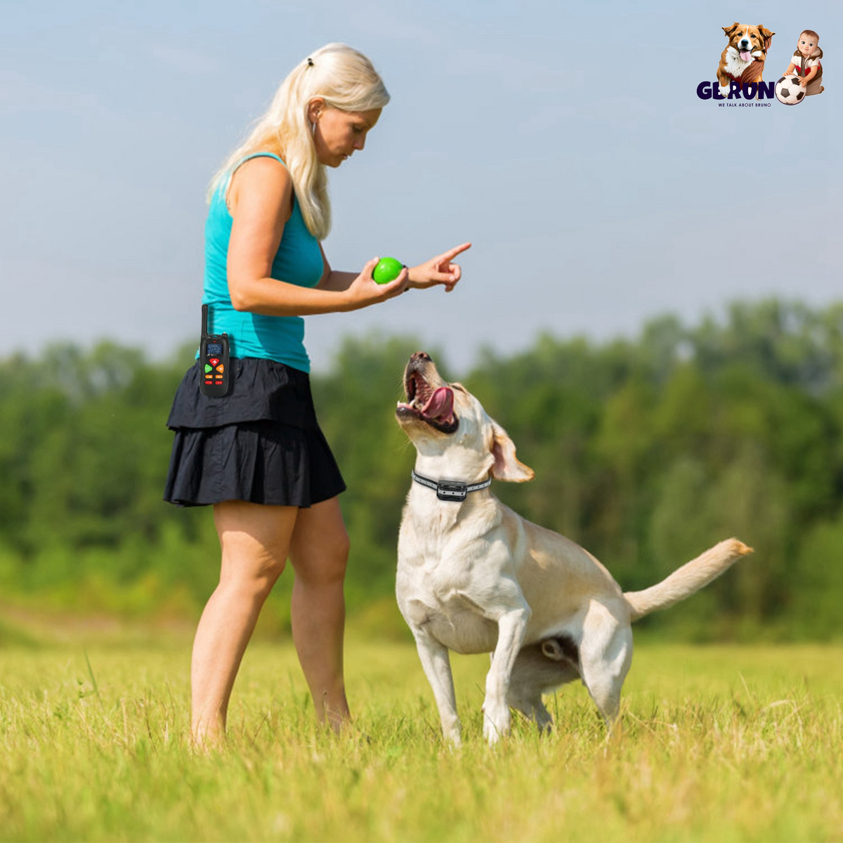 GBruno Dog Training Collar Dog