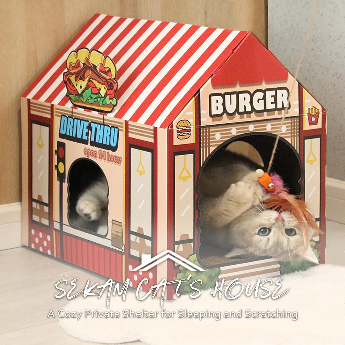 Cardboard Cat House with Scratcher