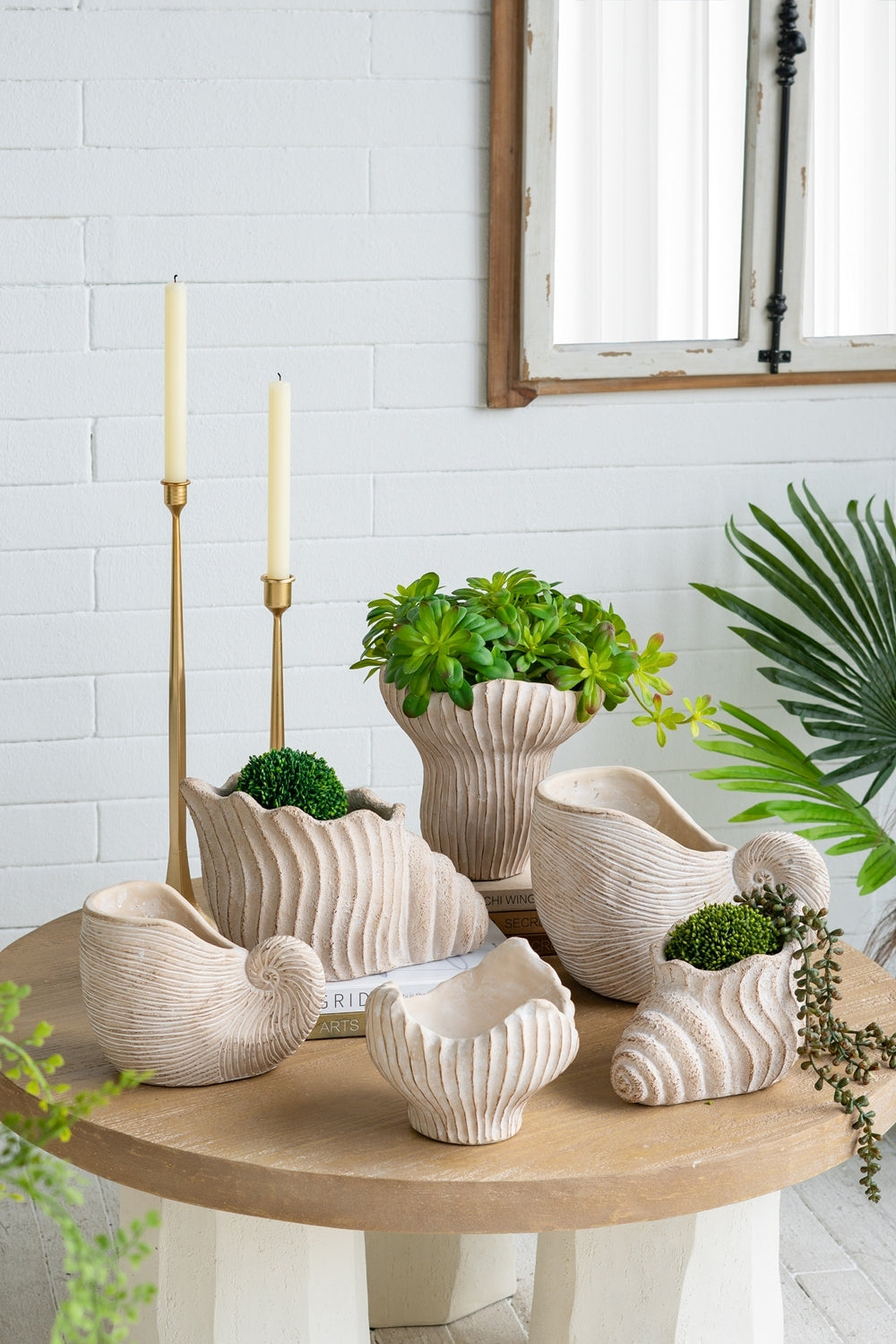 Sand and Cement Nautilus Shell Planter with Textured Finish - Beige Multi