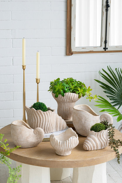Sand and Cement Nautilus Shell Planter with Textured Finish - Beige Multi