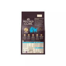 Wellness Core Adult Grain Free Ocean Whitefish, Herring and Salmon Dog Food