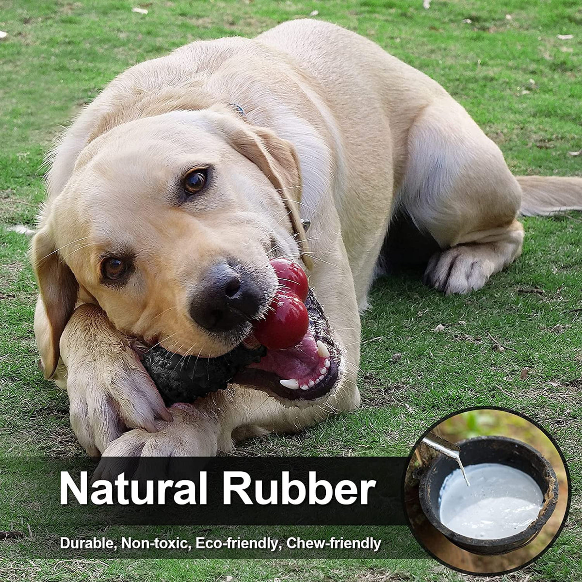 Dog Toys for Aggressive Chewers Bone
