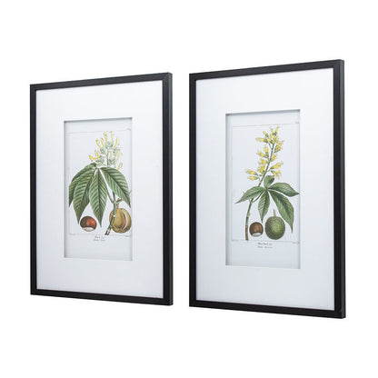 Botanical Wall Art Set of 2 with Black Frames - Multicolor