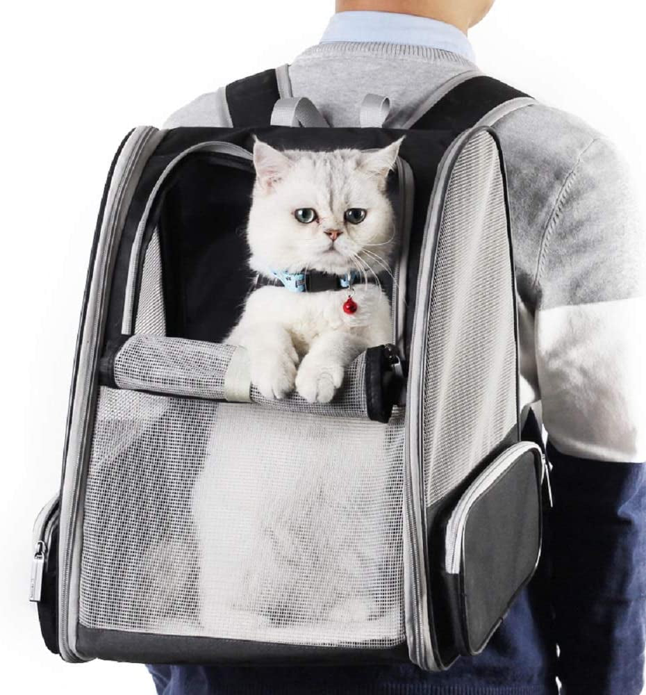 Bubble Backpack Pet Carriers for Cats and Dogs