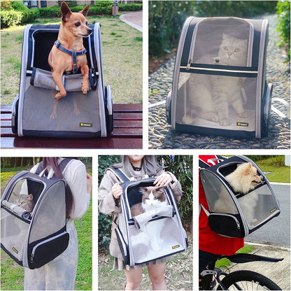 Bubble Backpack Pet Carriers for Cats and Dogs