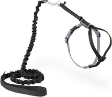 Come With Me Kitty Cat Harness & Bungee Leash Large Black