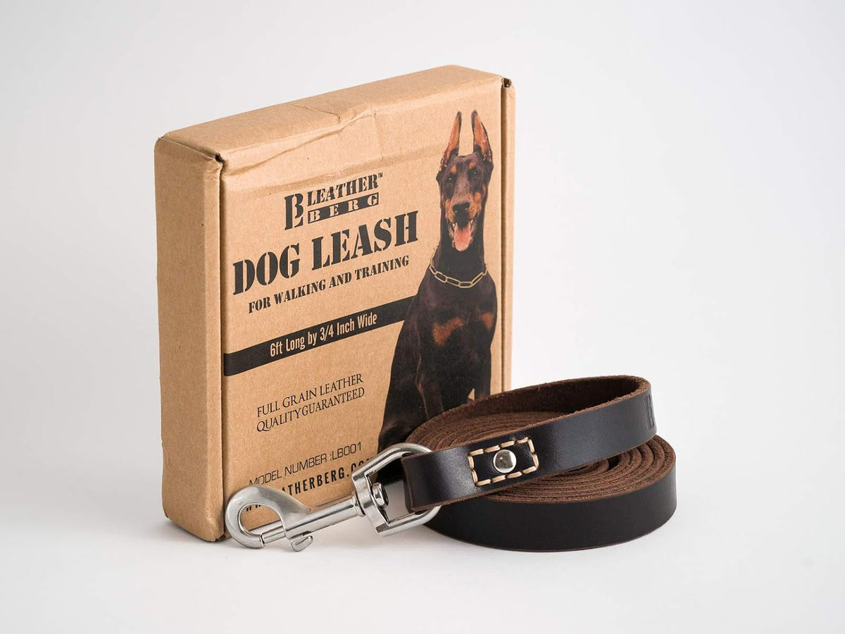 Leather Dog Training Leash - Brown 6 Foot