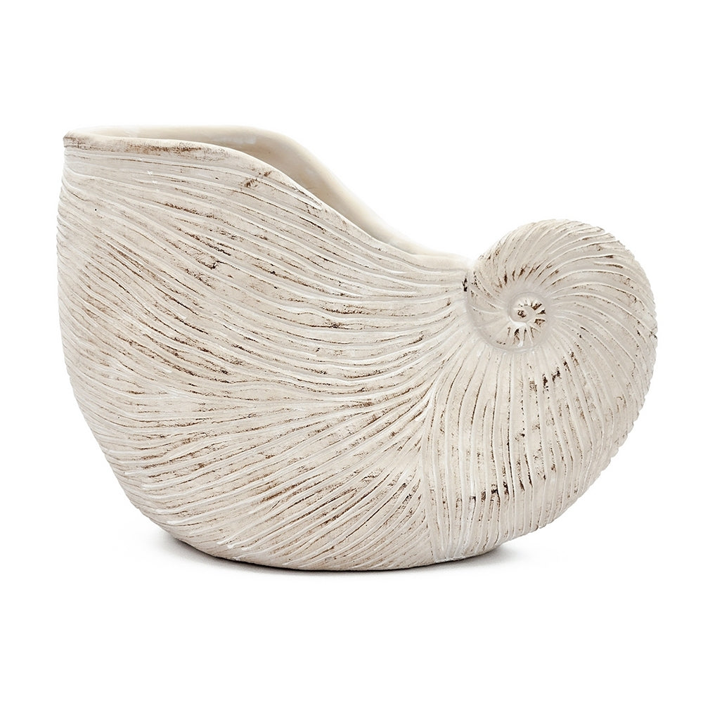 Sand and Cement Nautilus Shell Planter with Textured Finish - Beige Multi