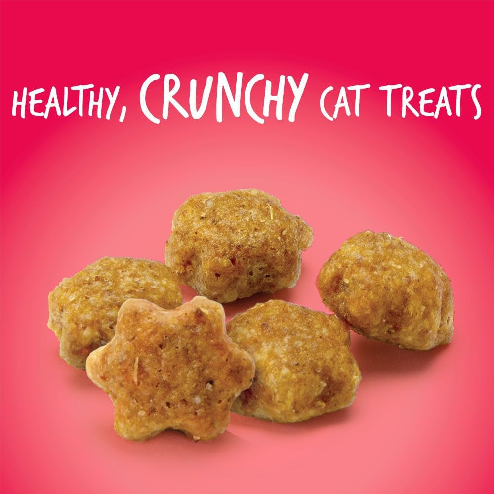 Cat Crunchy Treats  made with salmon