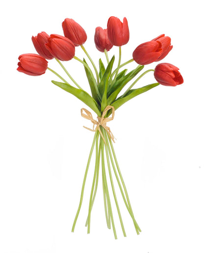 Spring Red Tulip Bundle (Set of 6)