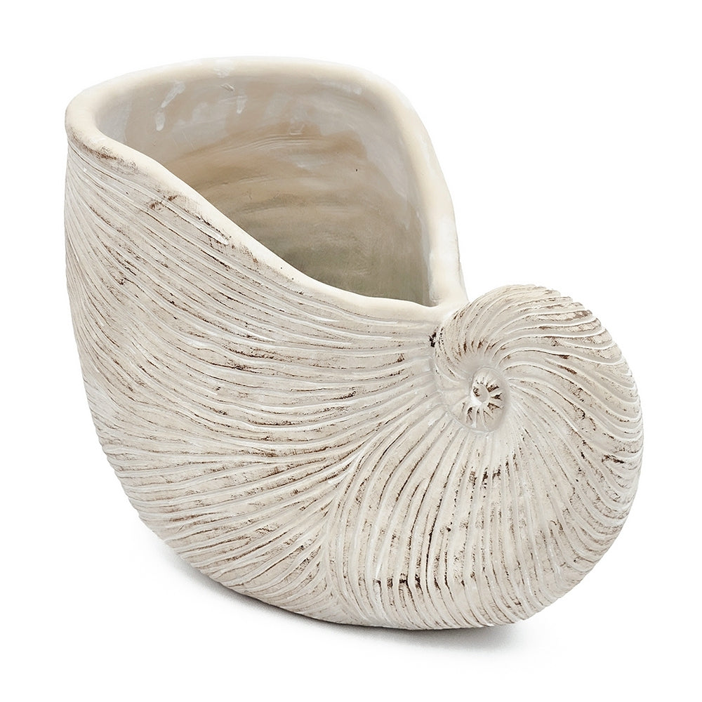 Sand and Cement Nautilus Shell Planter with Textured Finish - Beige Multi