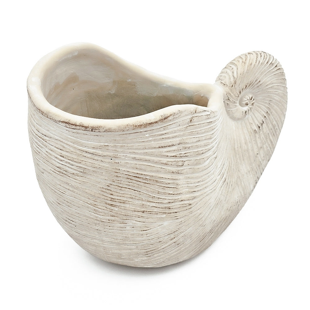 Sand and Cement Nautilus Shell Planter with Textured Finish - Beige Multi
