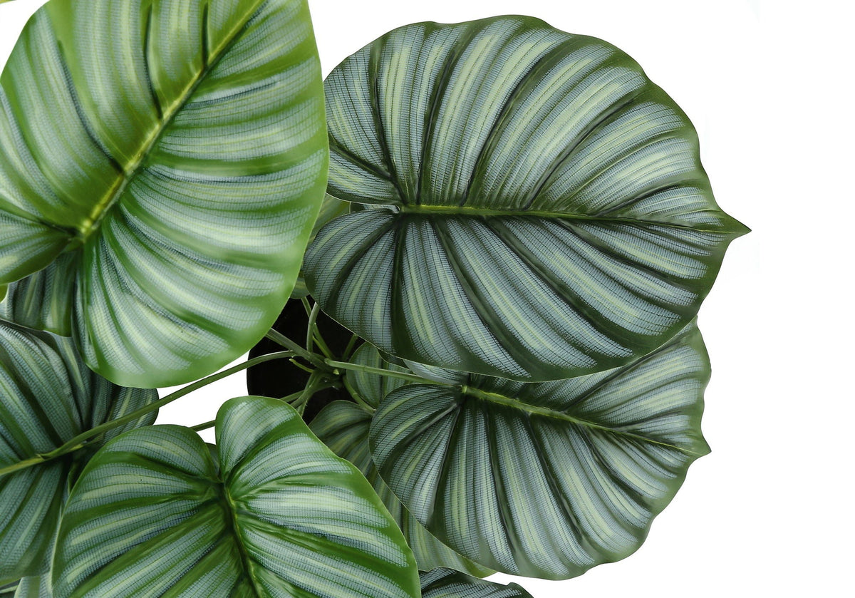 24" Tall Artificial Calathea Plant with Real-Touch Leaves - Green