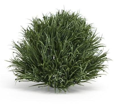 Spring Grass Half Orb (Set of 6)