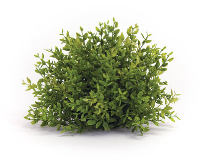 Spring Mini Leaf Foliage Half Orb (Set of 6)