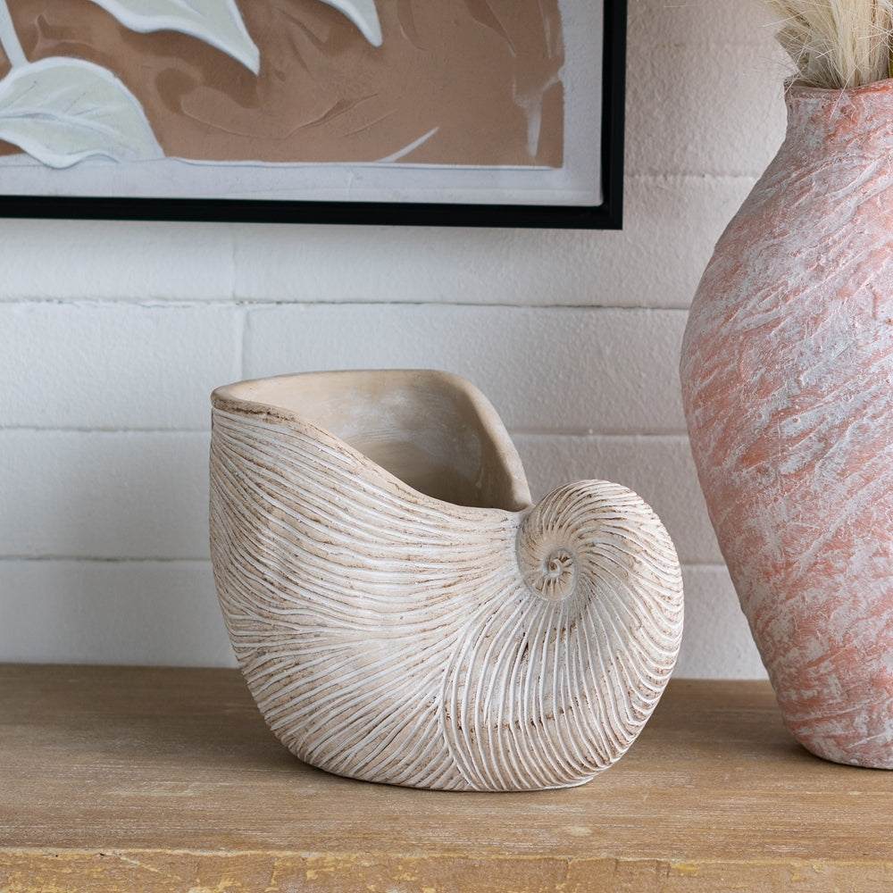 Sand and Cement Nautilus Shell Planter with Textured Finish - Beige Multi