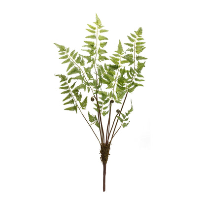 Varigated Fern Bundle with Sprout Accents (Set of 6)