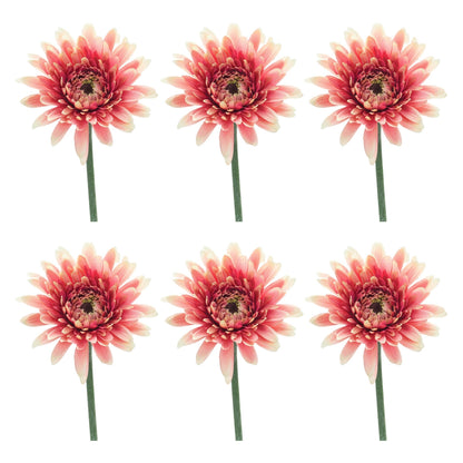 Gerbera Daisy Floral Stem (Set of 6)