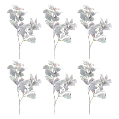 Lamb's Ear Leaf Bush (Set of 6)