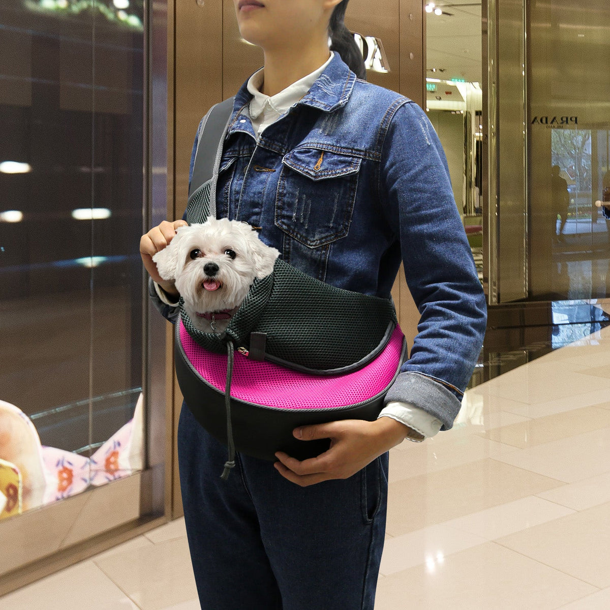 GBruno Pet Carrier for Dogs Cats
