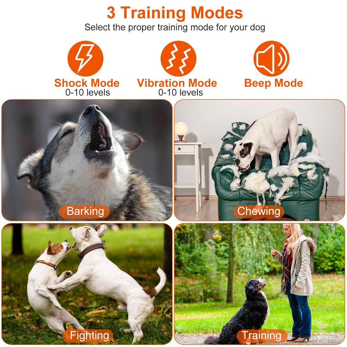 GBruno IPX7 Waterproof Dog Training Collar